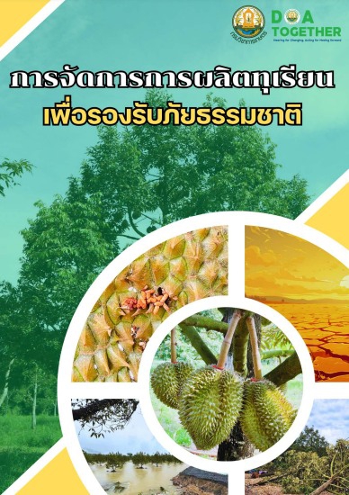 การจัดการการผลิตทุเรียนเพื่อรองรับภัยธรรมชาติ