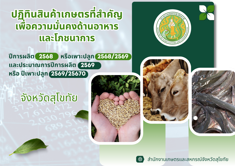 ปฏิทินผลผลิตสินค้าเกษตรรายเดือนระดับจังหวัดประจำปี