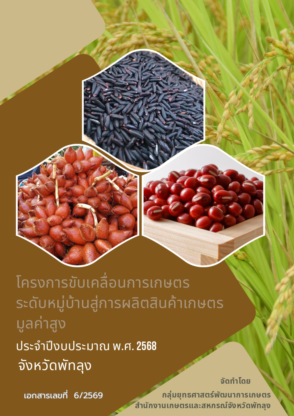 รายงานผลโครงการขับเคลื่อนการเกษตรระดับหมู่บ้านสู่การผลิตสินค้าเกษตรมูลค่าสูง