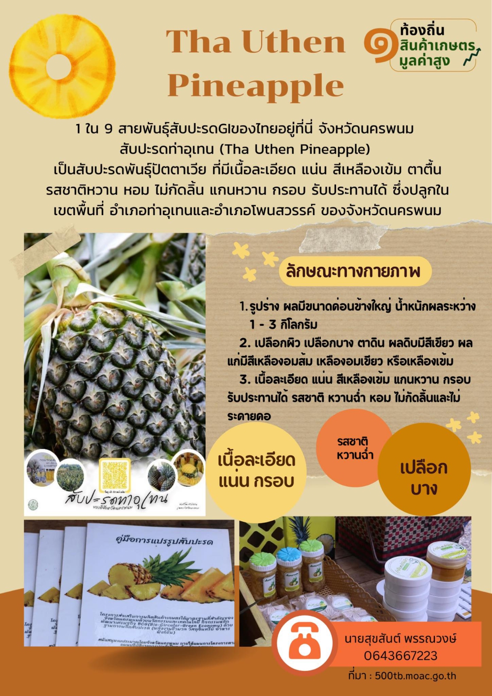 สับปะรดท่าอุเทน (Tha Uthen Pineapple)  จังหวัดนครพนม