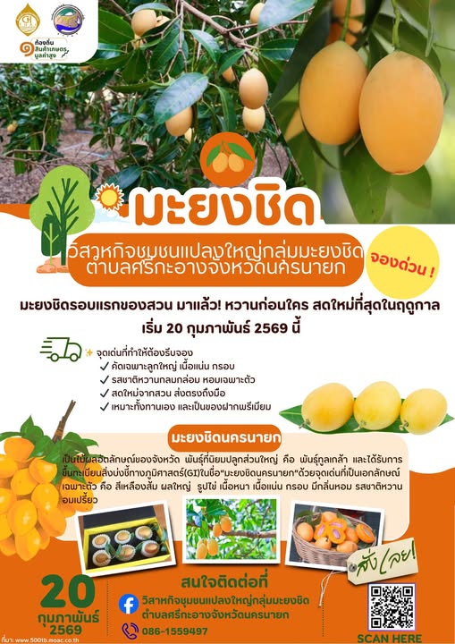 วิสาหกิจชุมชนแปลงใหญ่กลุ่มมะยงชิด