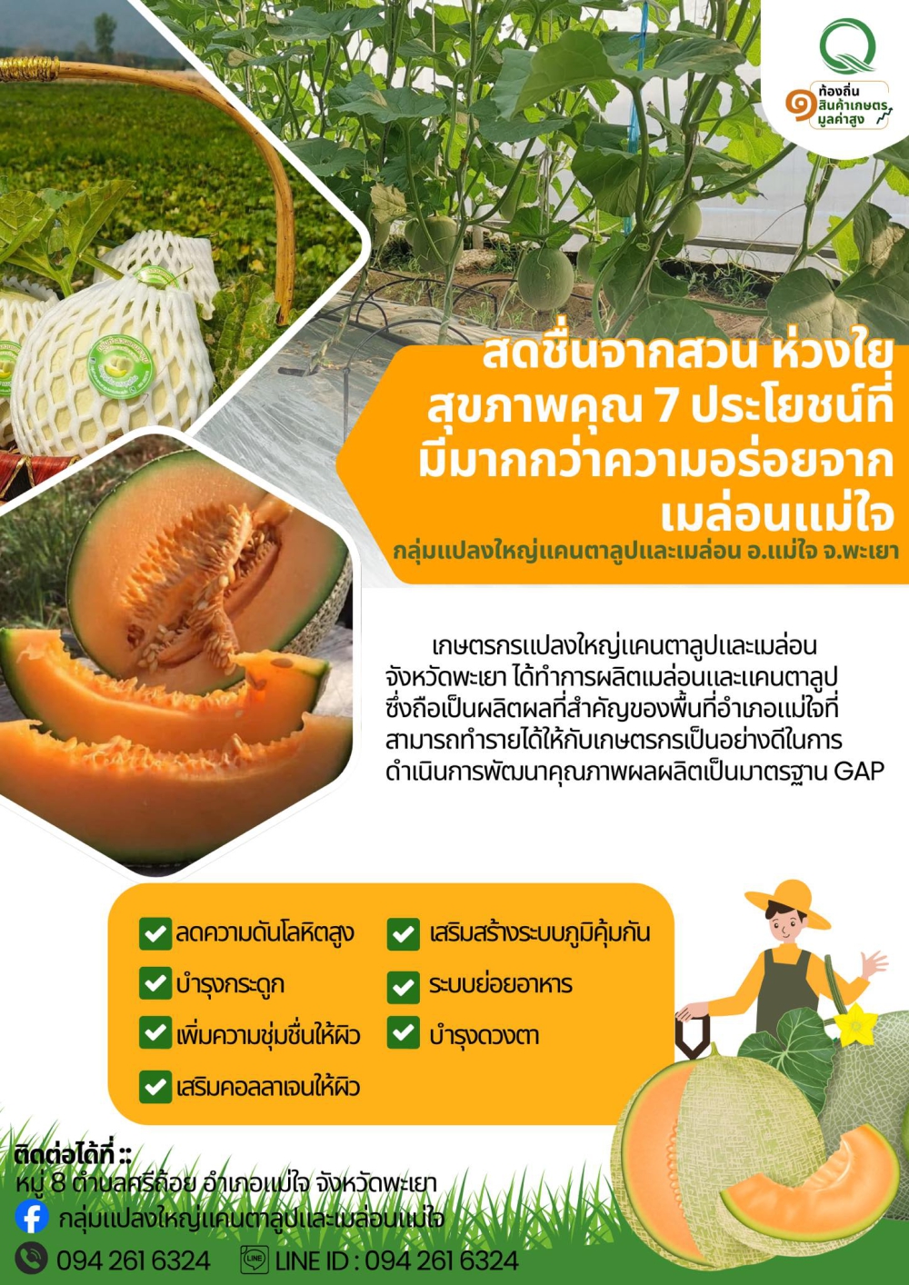 กลุ่มแปลงใหญ่แคนตาลูปและเมล่อน อ.แม่ใจ จ.พะเยา