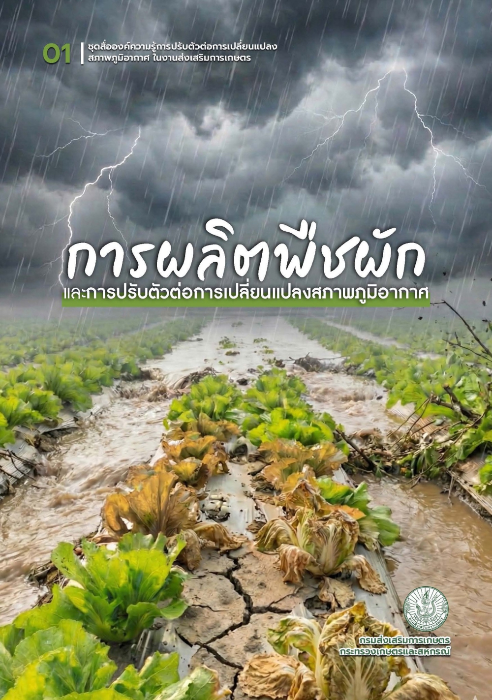 การผลิตพืชผักและการปรับตัวต่อการเปลี่ยนแปลงสภาพภูมิอากาศ