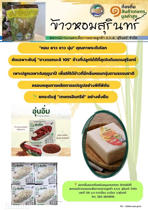 ข้าวหอมมะลิสุรินทร์