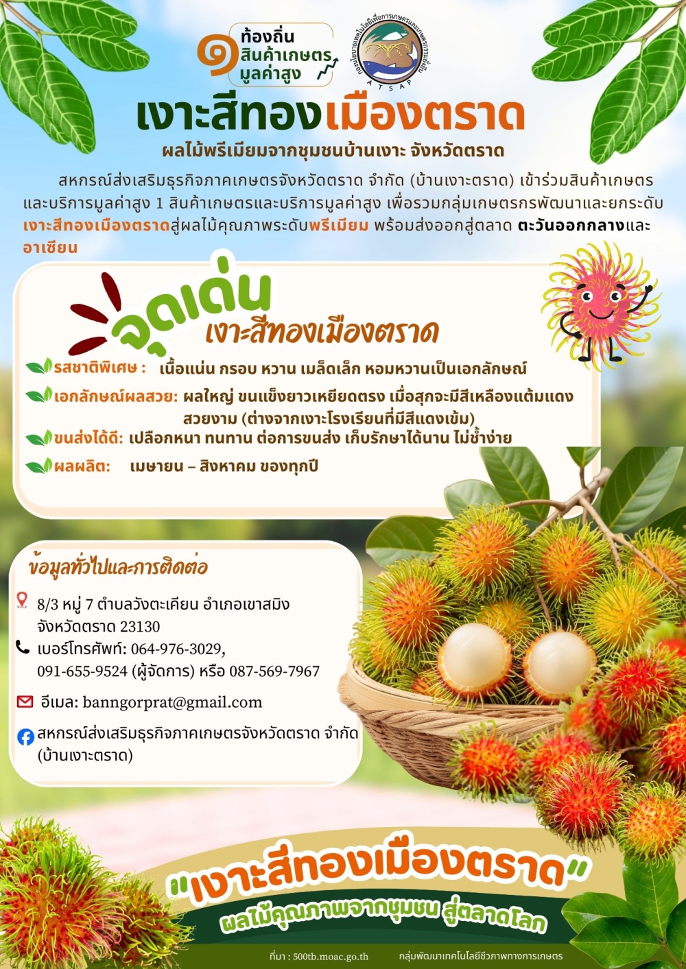 เงาะสีทองเมืองตราด