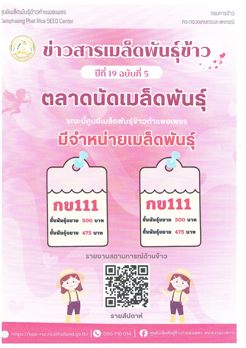 ข่าวสารเมล็ดพันธ์ข้าวปีที่