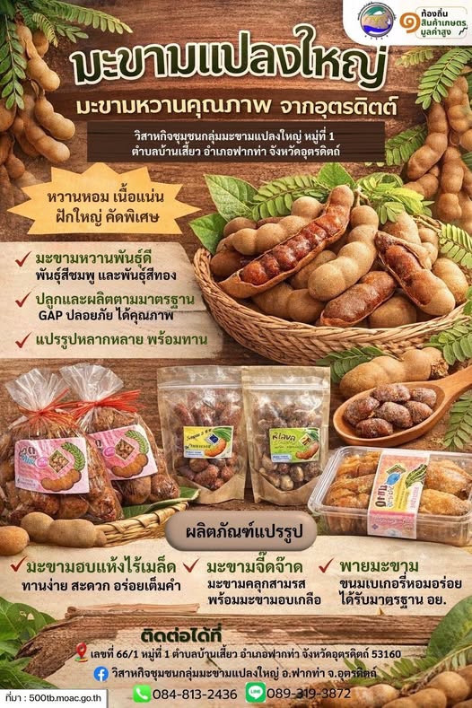 สาหกิจชุมชนกลุ่มมะขามแปลงใหญ่