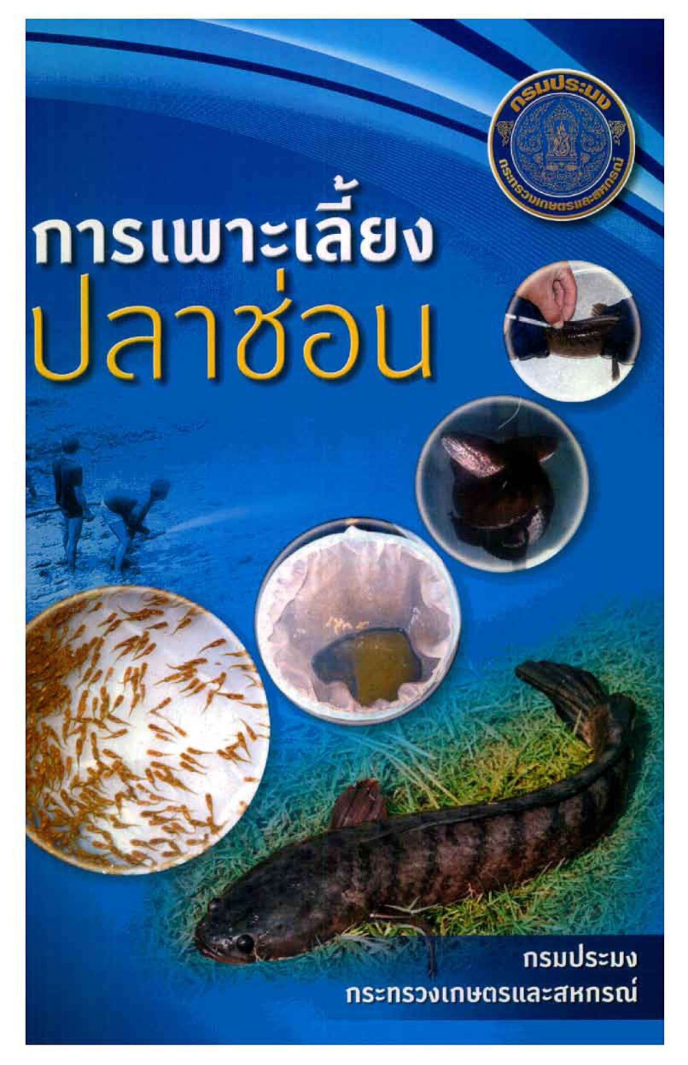 การเพาะเลี้ยงปลาช่อน