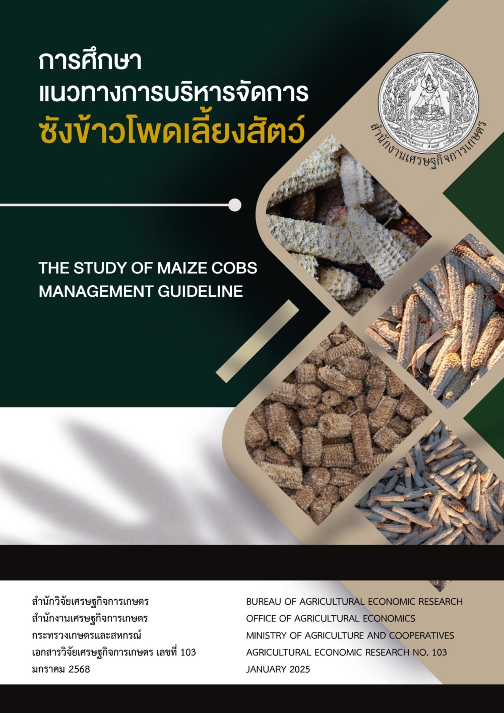 การศึกษาแนวทางการบริหารจัดการซังข้าวโพดเลี้ยงสัตว์