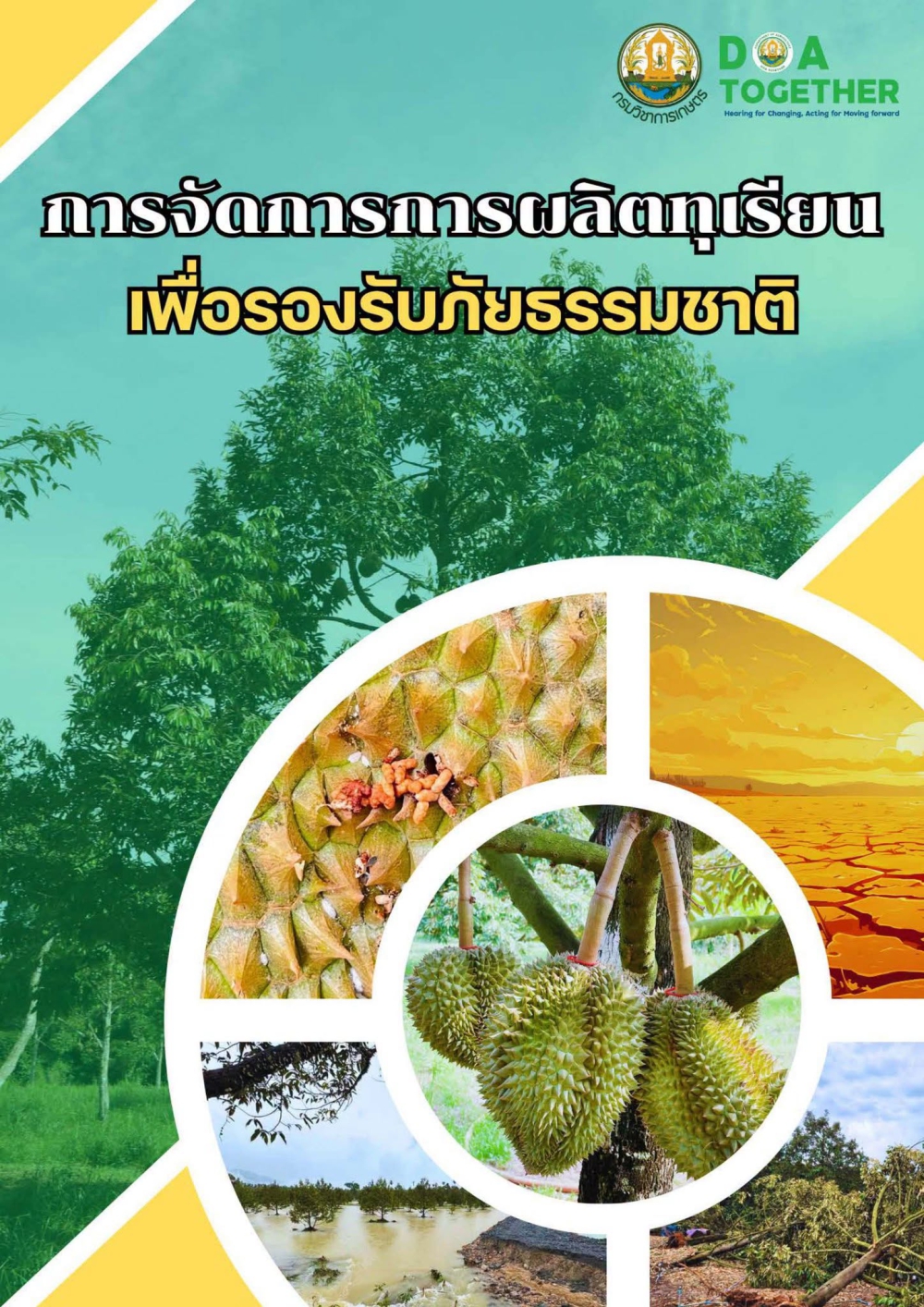 การจัดการการผลิตทุเรียน เพื่อรองรับภัยธรรมชาติ