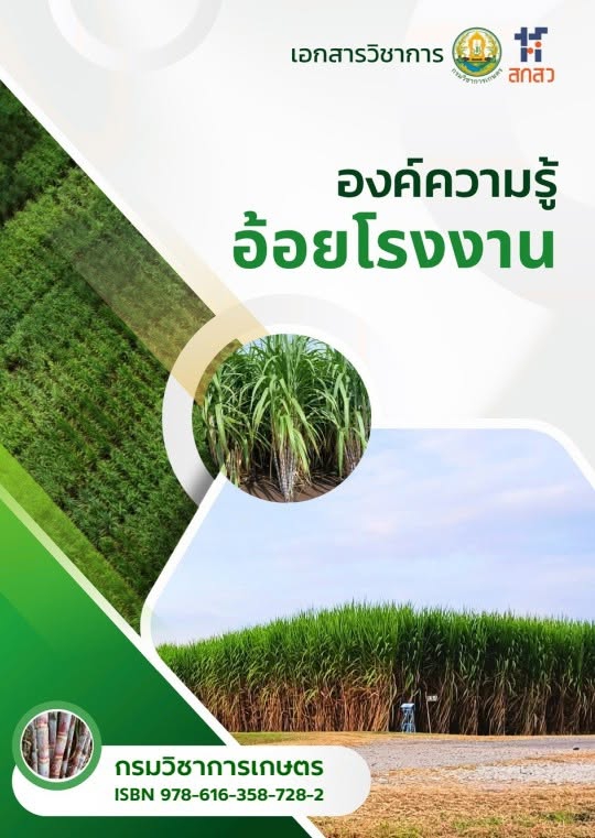 เอกสารวิชาการเกี่ยวกับองค์ความรู้อ้อยโรงงาน