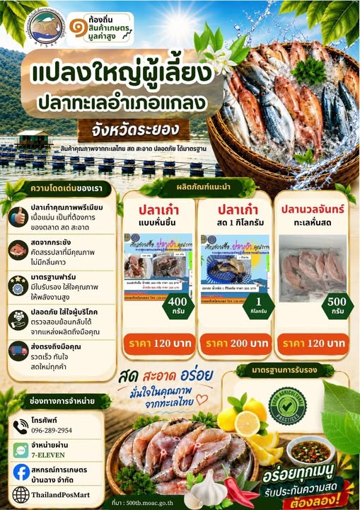แปลงใหญ่ผู้เลี้ยงปลาทะเลอำเภอแกลง จังหวัดระยอง