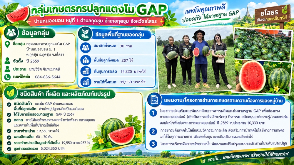 กลุ่มเกษตรกรปลูกแตงโม