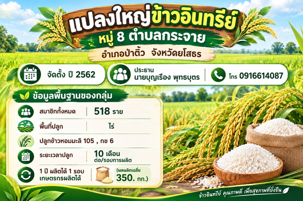 กลุ่มแปลงใหญ่ข้าวอินทรีย์