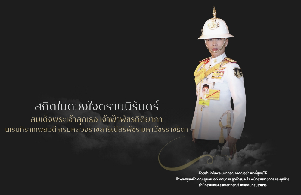 ไว้อาลัย องค์ภา