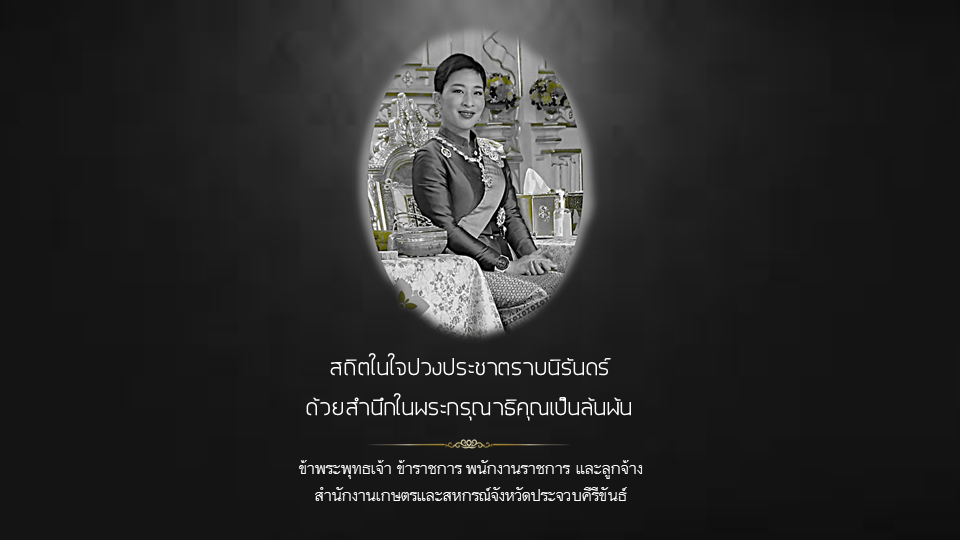 แสดงความอาลัยถวายแด่สมเด็จพระเจ้าลูกเธอ เจ้าฟ้าพัชรกิติยาภา นเรนทิราเทพยวดี กรมหลวงราชสาริณีสิริพัชร มหาวัชรราชธิดา