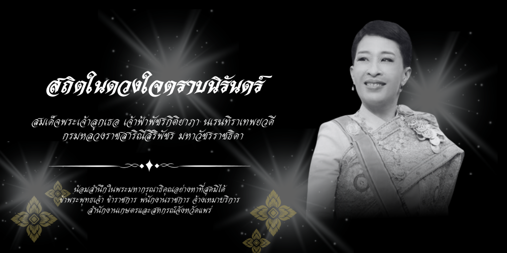 สมเด็จพระเจ้าลูกเธอ เจ้าฟ้าพัชรกิติยาภา
