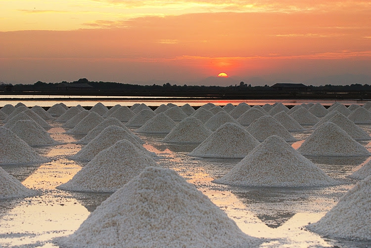 เกลือสมุทรแม่กลอง