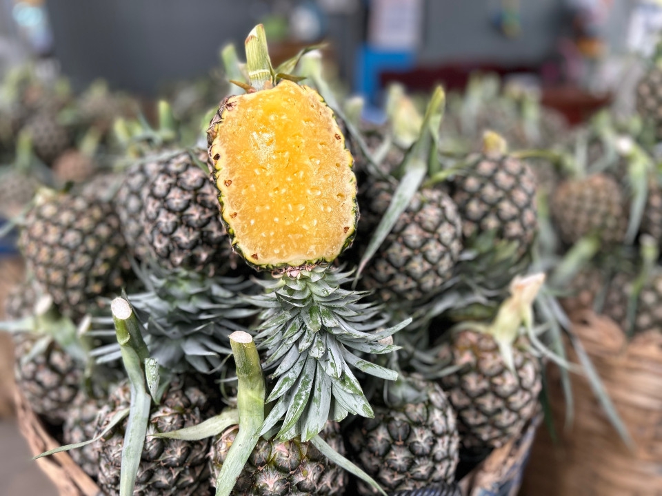 สับปะรดศรีราชา สินค้าเกษตร GI จังหวัดชลบุรี