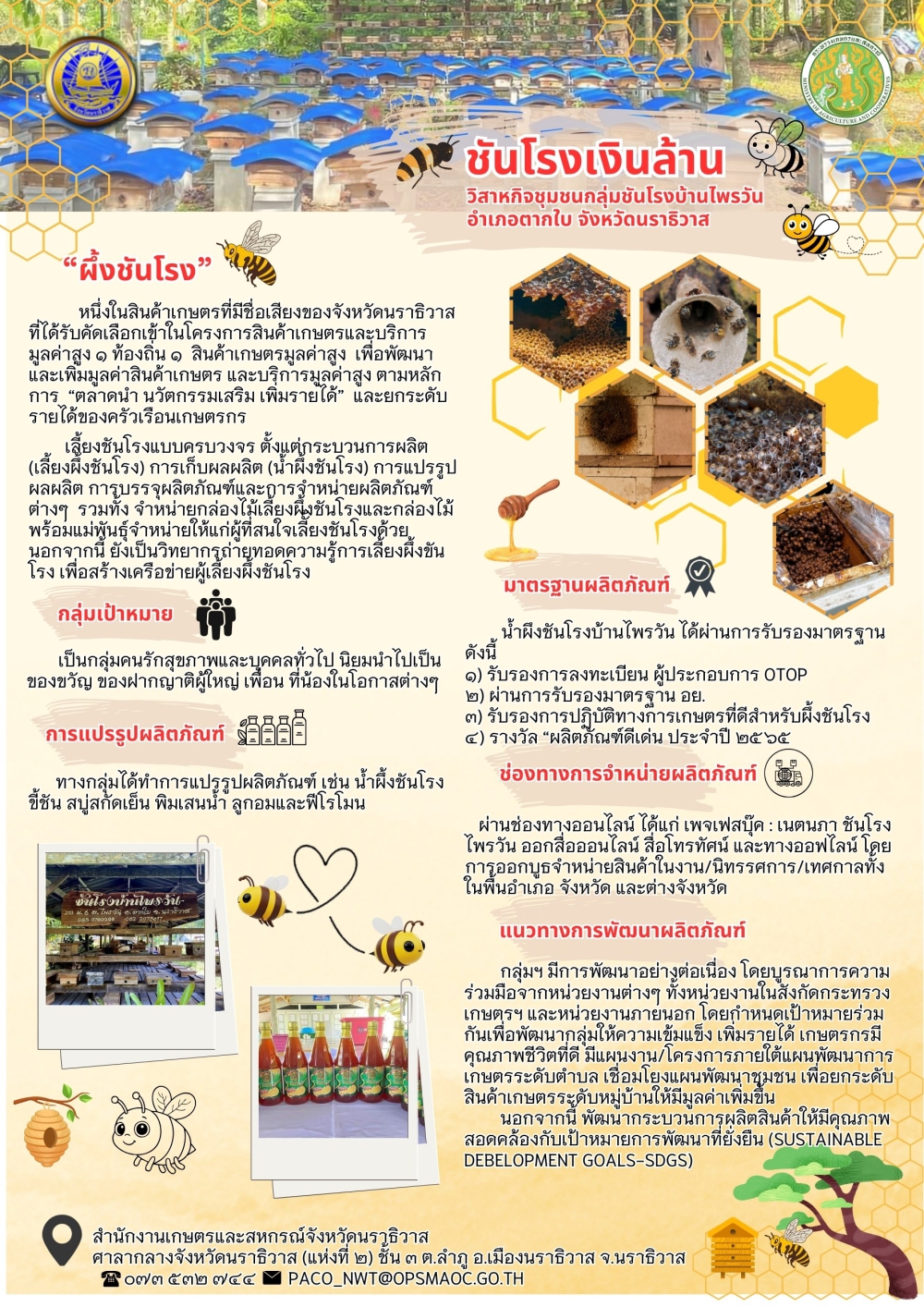 ชันโรงเงินล้าน