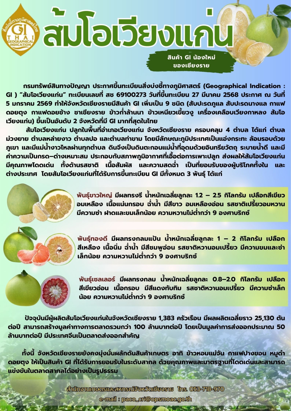 ส้มโอเวียงแก่น สินค้า GI น้องใหม่ของเชียงราย