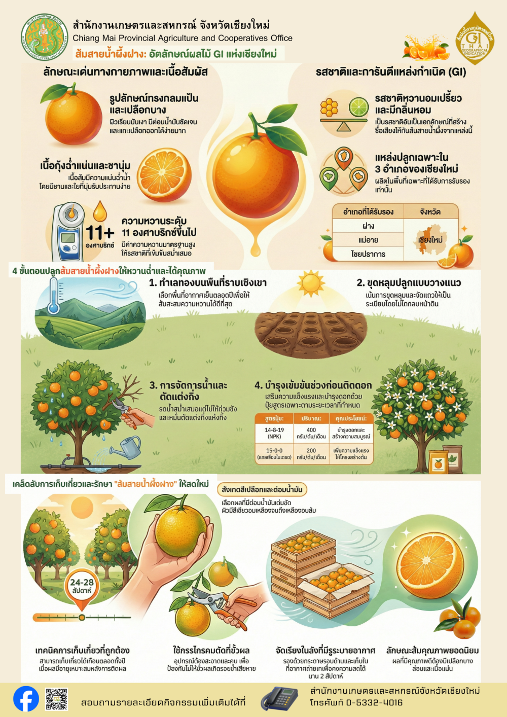 ส้มสายน้ำผึ้งฝาง อัตลักษณ์ผลไม้ GI แห่งเชียงใหม่