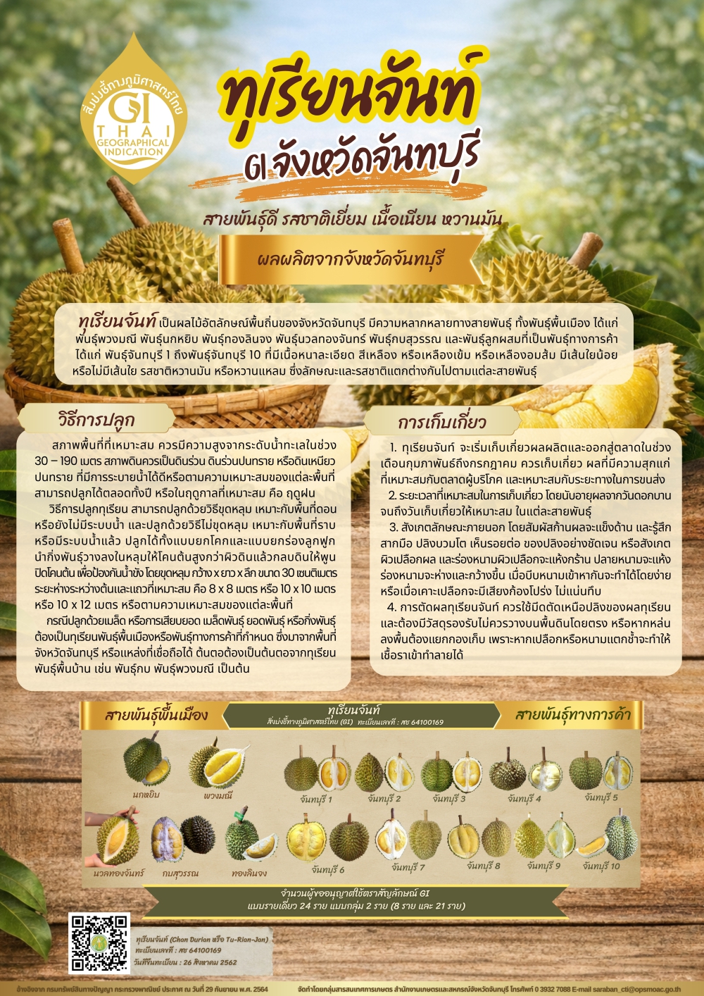 ทุเรียนจันท์ GI จังหวัดจันทบุรี