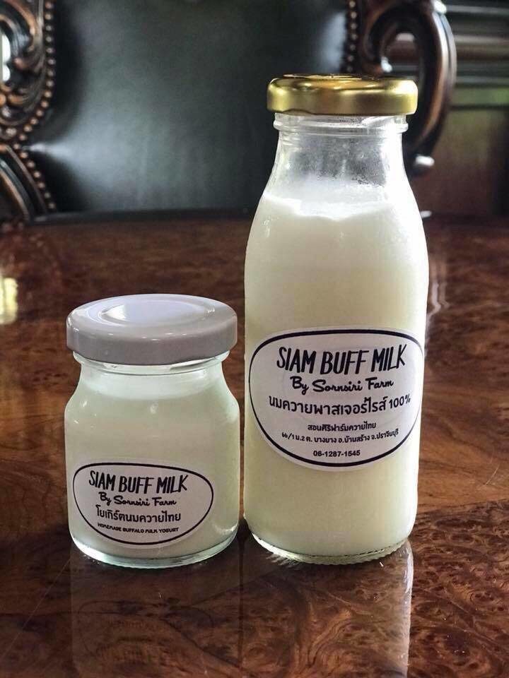 ควายนม นมควาย