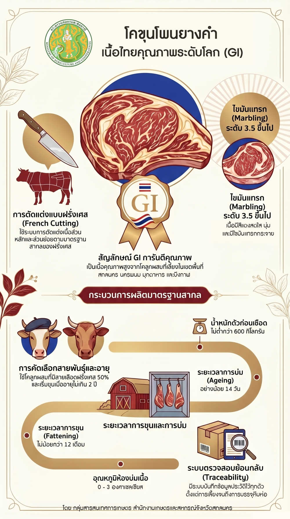 โคขุนโพนยางคำ เนื้อไทยคุณภาพระดับโลก (GI)