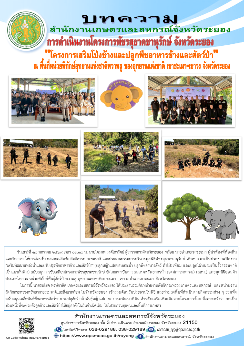 โครงการเสริมโป่งช้างและปลูกพืชอาหารช้างและสัตว์ป่า