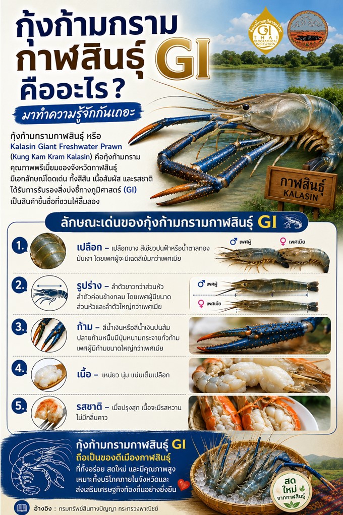 กุ้งก้ามกรามกาฬสินธุ์ GI คืออะไร