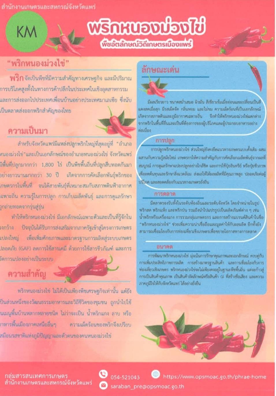 พริกหนองม่วงไข่ พืชอัตลักษณ์วิถีเกษตรเมืองแพร่