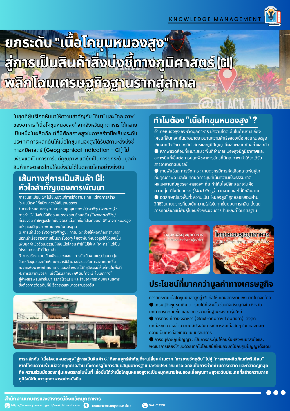 โคขุนหนองสูง