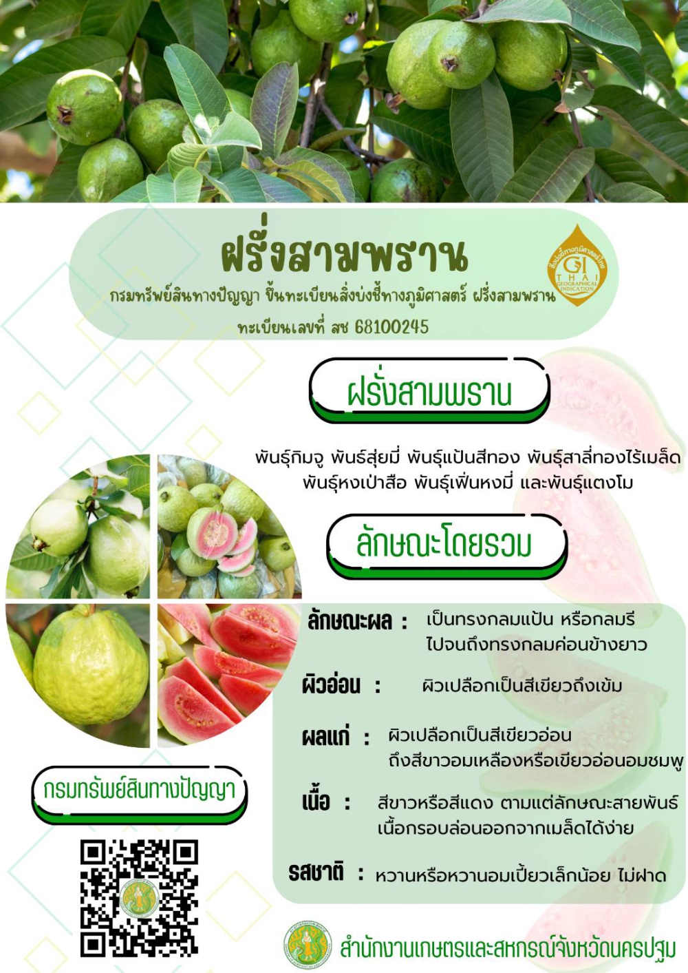 ฝรั่งสามพราน