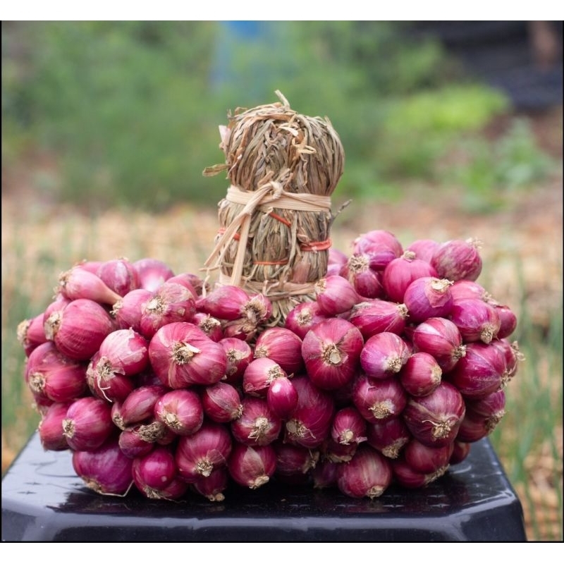 แนวทางการบริหารจัดการอุปทานและสร้างเสถียรภาพราคาหอมแดงศรีสะเกษ
