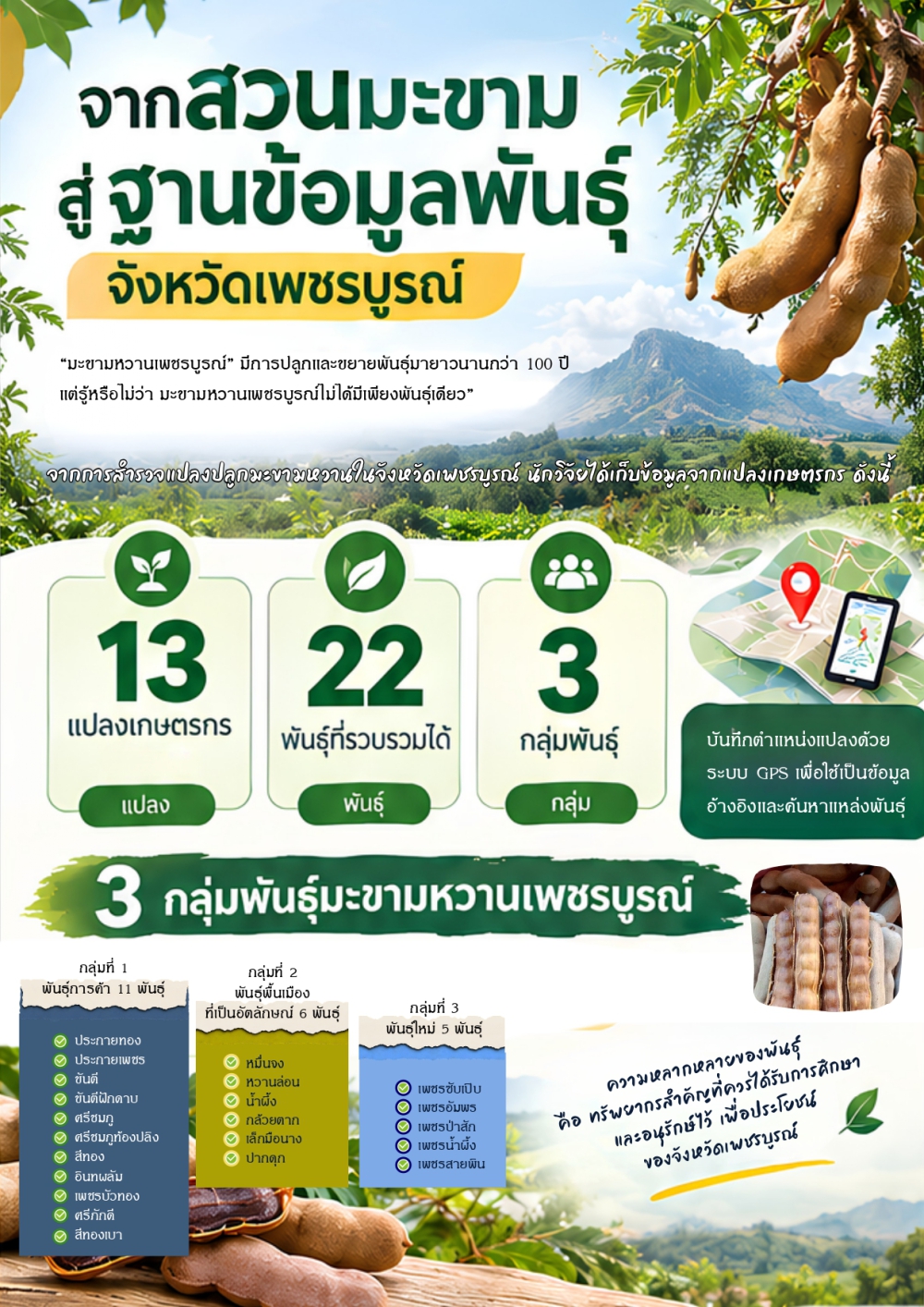 จากสวนมะขามสู่ฐานข้อมูลพันธุ์ จังหวัดเพชรบูรณ์
