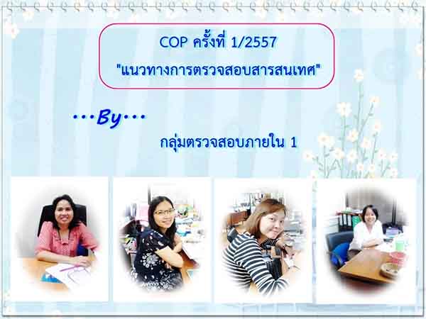 COP:1/2557 แนวทางการตรวจสอบสารสนเทศ (สตน.)