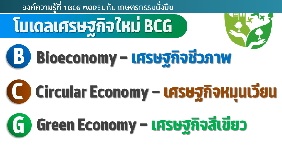 การจัดการความรู้กองนโยบายเทคโนโลยีเพื่อการเกษตรและเกษตรกรรมยั่งยืน