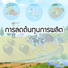 การลดต้นทุนการผลิต