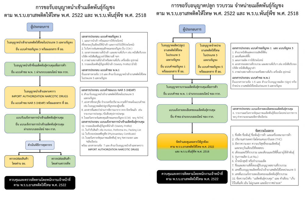 เปิดขั้นตอนการขอรับอนุญาตนําเข้าเมล็ดพันธุ์กัญชงและการขอรับอนุญาตปลูก