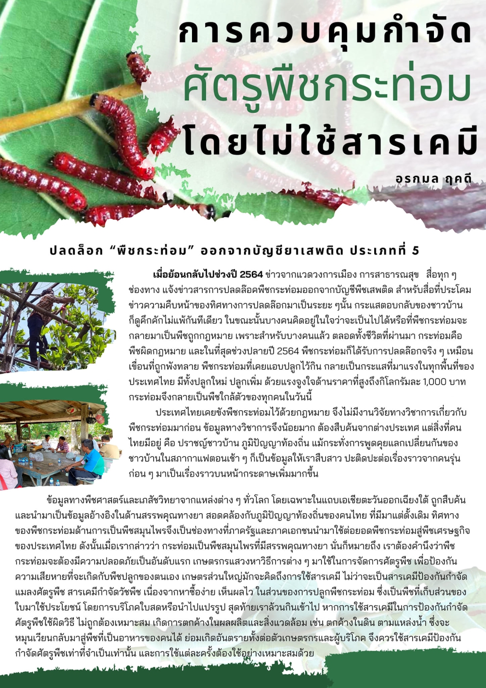 การควบคุมกำจัด ศัตรูพืชกระท่อม โดยไม่ใช้สารเคมี