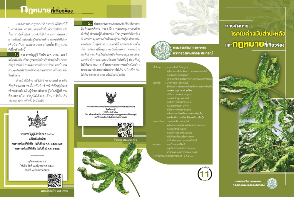 การจัดการโรคใบด่างมันสำปะหลังและกฎหมายที่เกี่ยวข้อง