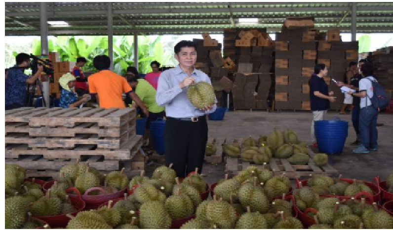 กรมวิชาการเกษตรงัดกฎเหล็กคุมเข้ม