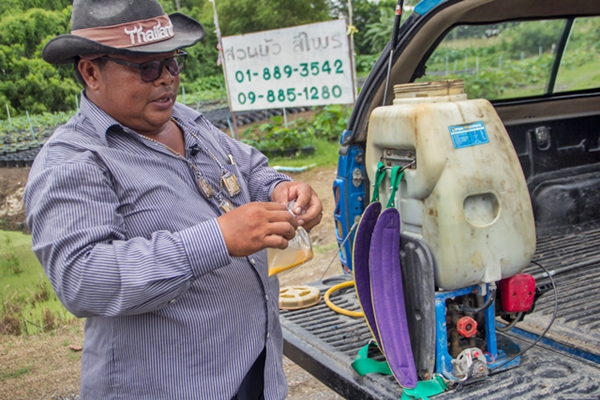 เทคนิคภูมิปัญญาการบำรุงดอกบัวและกำจัดแมลงโดยไข่ไก่