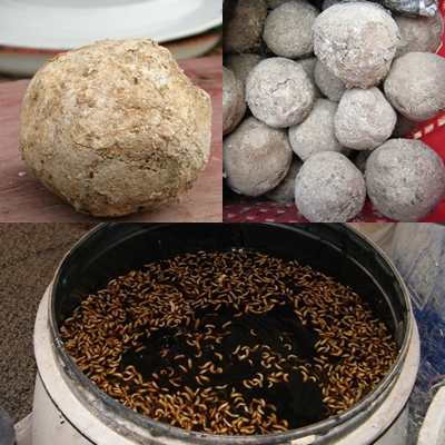 การทำปุ๋ยดินระเบิด