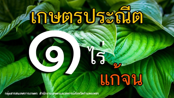 เกษตรประณีต