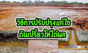 การแก้ปัญหาดินเค็ม ดินเปรี้ยว