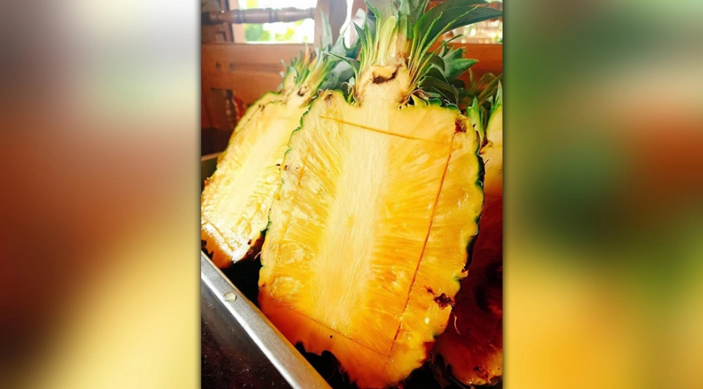 เพาะเลี้ยงเนื้อเยื่อ..MD2