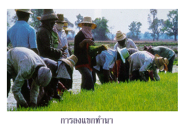 ภูมิปัญญาชาวบ้าน