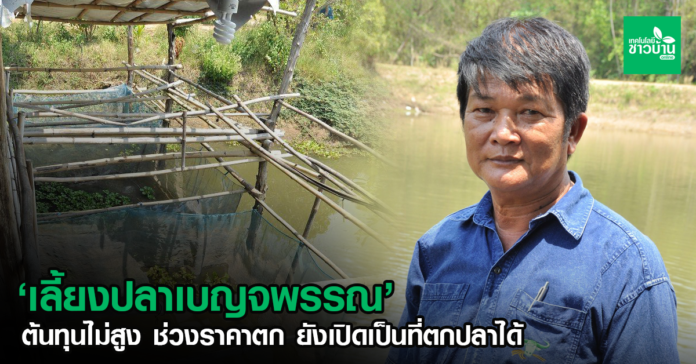 ปลาเบญจพรรณ’ อาชีพอิสระ ลงทุนน้อย ผลตอบแทนสูง
